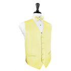 Venetian Wedding Prom Tuxedo Vest and Tie Set